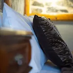 4 Seasons Premium & Massage Treatments Maison d'hôtes 3*